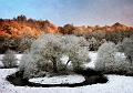 Paysage18_12_10 n05